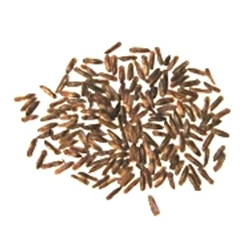 Wild Dagga (Leonotis leonurus) Seeds