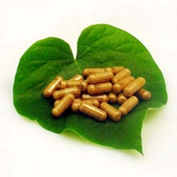Capsules - Eleuthero Root (Siberian Ginseng) (60Capsules)