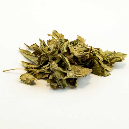 Dreaming Herbs