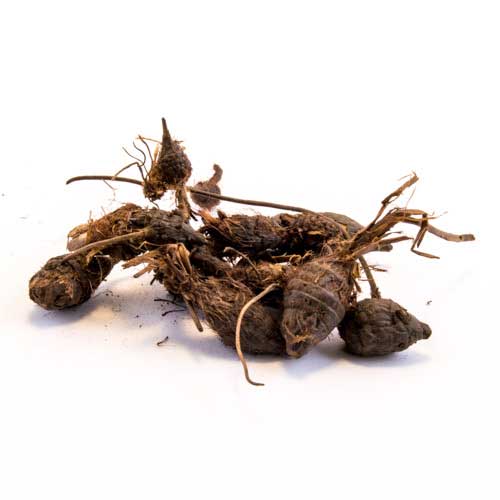 Roots & Barks
